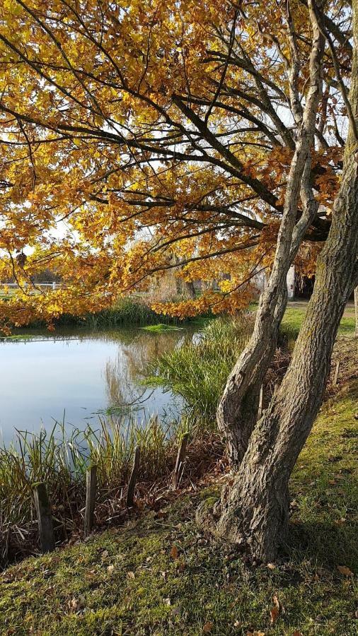 Montbeugny Le Domaine Du Mijarnier B&B 외부 사진