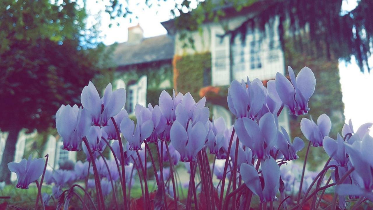Montbeugny Le Domaine Du Mijarnier B&B 외부 사진